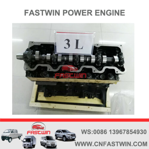 3L CHAOYANG DIESEL ENGINE for FASTWIN POWER FWTR-7002