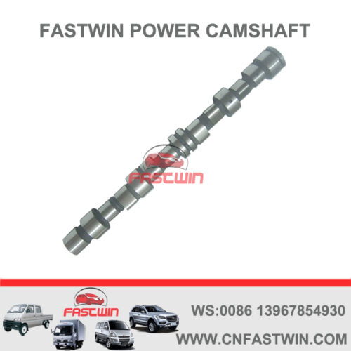 FASTWIN POWER Engine Camshaft for Daweoo 20SEH 63612390233483