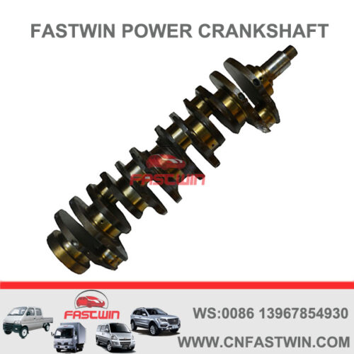 FASTWIN POWER Casting Iron Engine Crankshaft for CAT 3066 S6KT 34320-100011