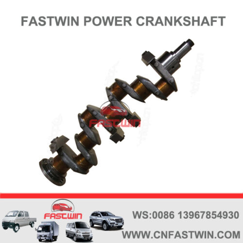 FASTWIN POWER Casting Iron Engine Crankshaft for Peoguet 504