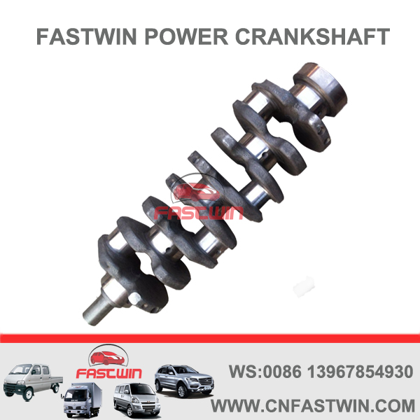 FASTWIN POWER Casting Iron Engine Crankshaft for Isuzu 4JJ1