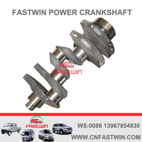 FASTWIN POWER Casting Iron Engine Crankshaft for DEUTZ F3L912