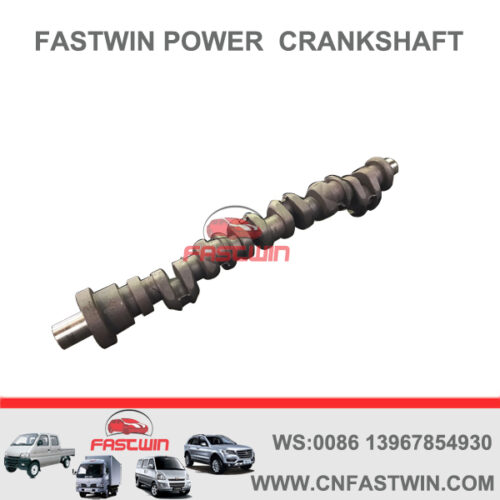 FASTWIN POWER High Quality Competitive Price Diesel Engine Crankshaft for ALCO 251