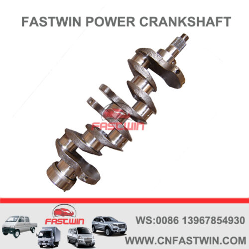 FASTWIN POWER Casting Iron Engine Crankshaft for Isuzu 4BB1