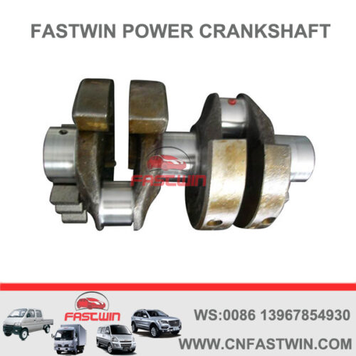FASTWIN POWER Engine Parts Casting Iron CrankShaft For Deutz F2L511 04152745
