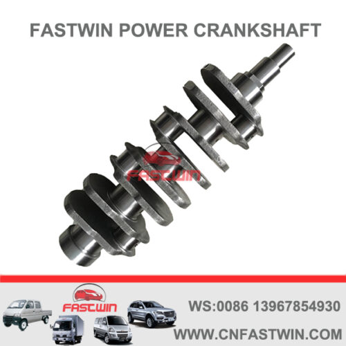 FASTWIN POWER Casting Iron Engine Crankshaft for Suzuki F10A