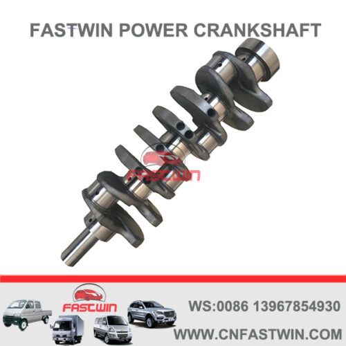 FASTWIN POWER Casting Iron Engine Crankshaft for Hyundai D4CB