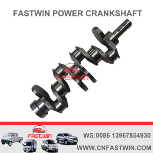 FASTWIN POWER Casting Iron Engine Crankshaft for Mitsubishi 4D56