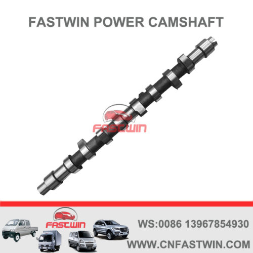 FASTWIN POWER Engine Camshaft for Peugeot 405 1.9L 0801.C1