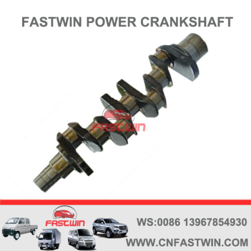 FASTWIN POWER Diesel Engine Casting Iron Crankshaft for LISTER PETER LPW4