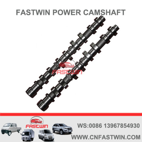 FASTWIN POWER Engine Camshaft for Peugeot 206307 DOHC 0801V0