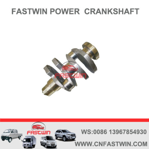 FASTWIN POWER OEM Standard Auto Parts Casting Crankshaft F2L1011 04270231 04287292 02928288 02928164 of Deutz