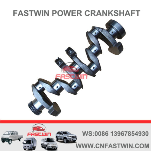 FASTWIN POWER Casting Iron Diesel Engine Crankshaft for Deutz F4l912 02929339
