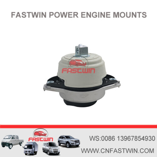 FASTWIN POWER 1662406017 1662404017 1662405017 3837101 Left engine mount For Mercedes Benz ML550 GLS550 GL550 GL450 4.6