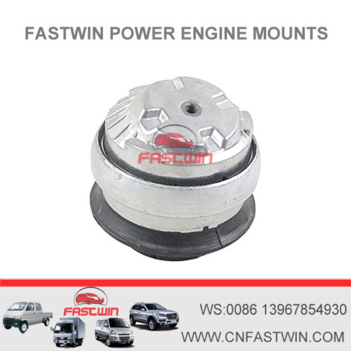 FASTWIN POWER Engine Mount Left and Right Set Benz 2032401417 2102403017 W203 S203 AL-MM-1234