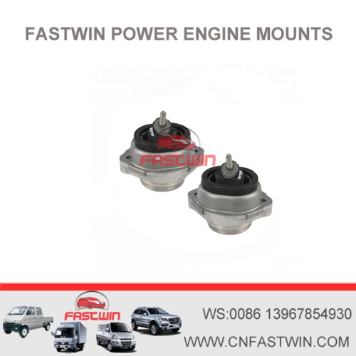 FASTWIN POWER Front Left or Right Motor Engine Mounting for BMW E53 X5 V8 22116770793 22116758428