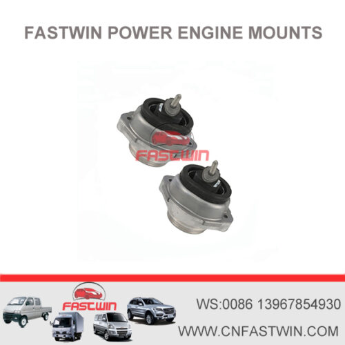 FASTWIN POWER Front Left or Right Motor Engine Mounting for BMW E53 X5 V8 22116770793 22116758428