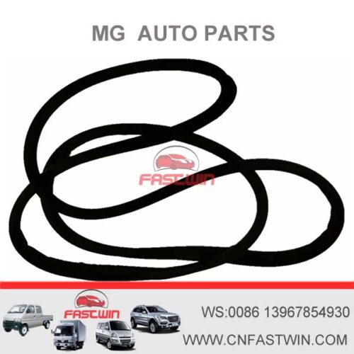 30030662-SAIC-MG3-MG5-MG6-MG7-MG350-MG550-MG750-MGZS-MGGS-Door-Window-Rubber-Strips-Car-Seal