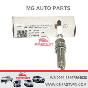 OEM NO 24112548 Iridium Spark Plug For MG